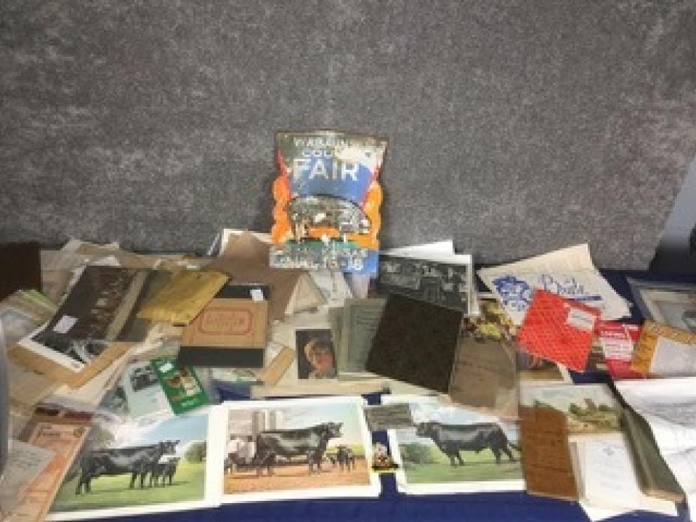 Image for Neat Stuff-Oddities, Collectibles, Nifty Finds