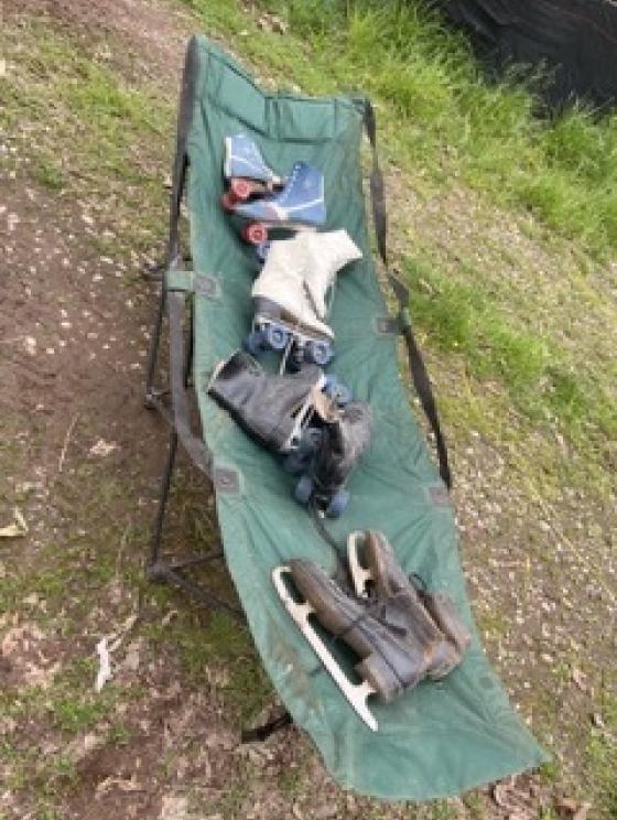 Image for The Brumfield Collection of Greenbrier County, WV