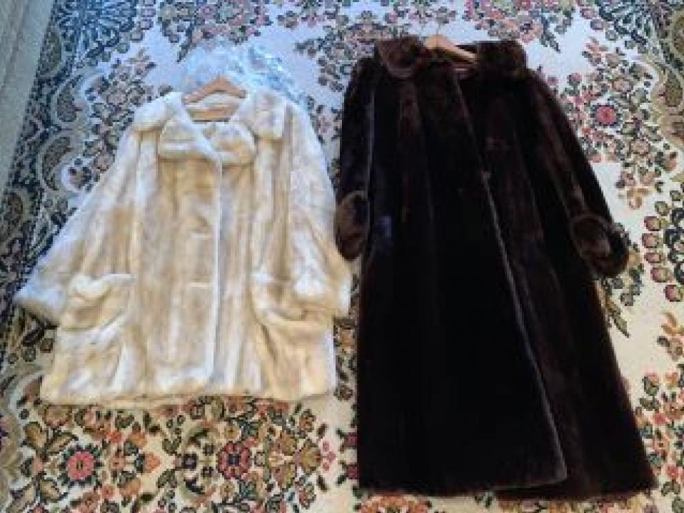 Image for Fantastic Morlang Family Lifetime Collection