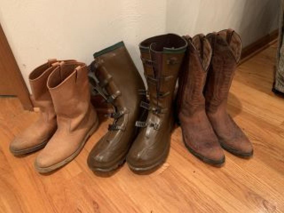 Image for Fantastic Morlang Family Lifetime Collection