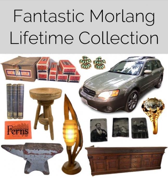 Image for Fantastic Morlang Family Lifetime Collection
