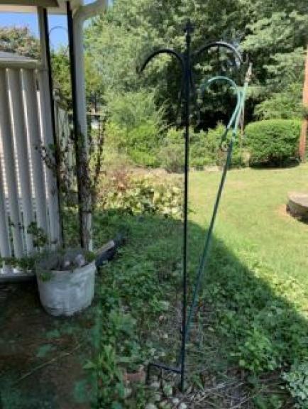 Image for The Brenda Todd Collection