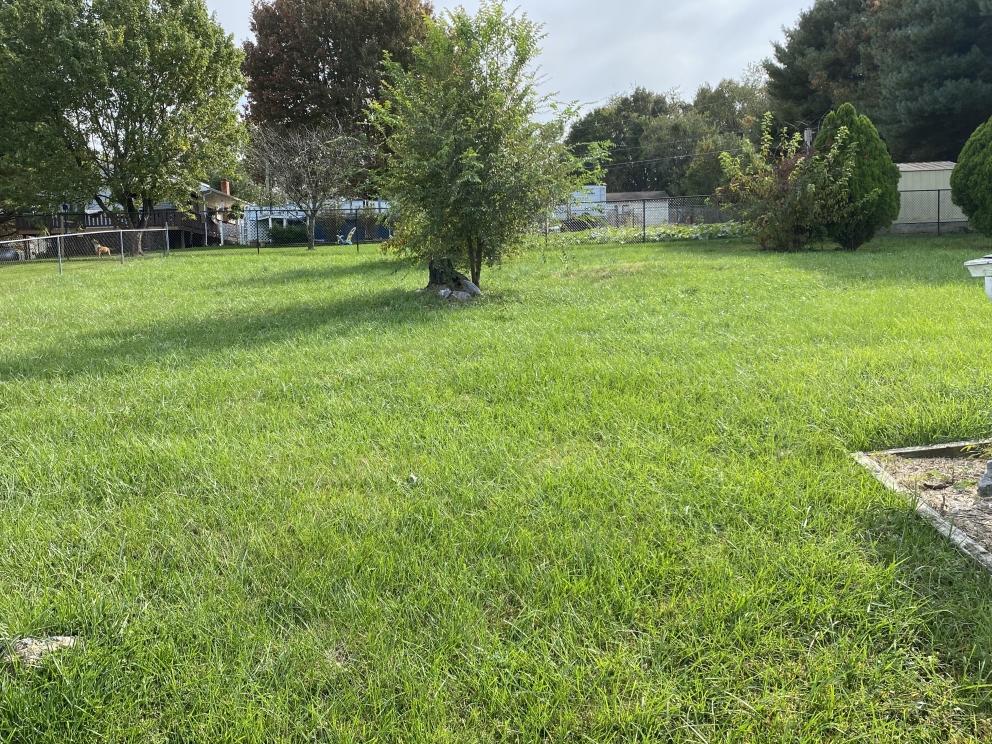 Image for LIVE with ON-LINE PRE-BIDDING: Real Estate Investment Opportunity-Staunton, VA