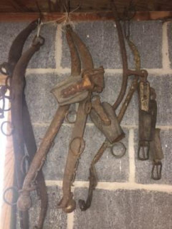 Image for Outstanding Glenn Anderson Collection - Beaver, WV