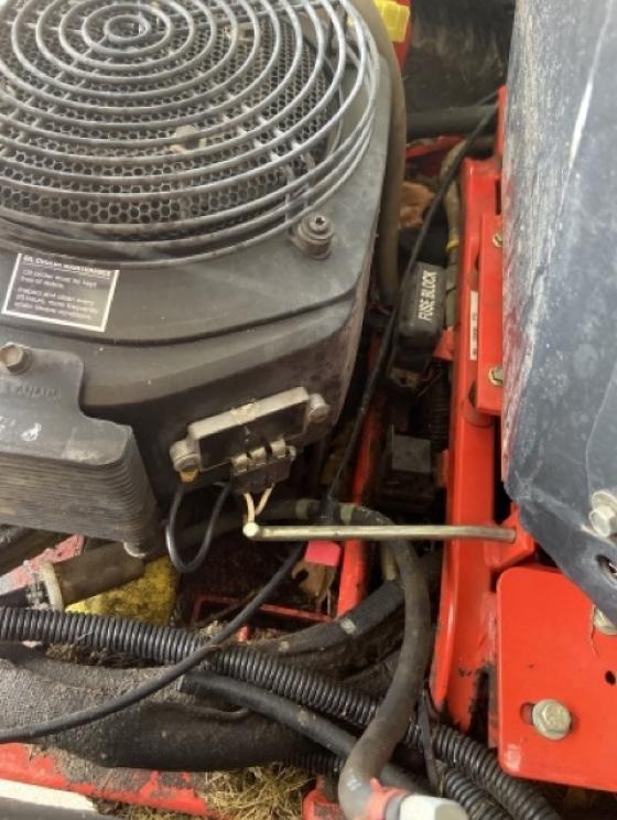 Image for The Allen Family Collection-Peterstown, WV