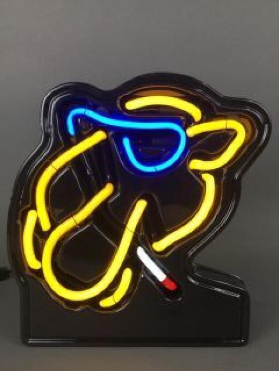 Image for HUGE Camel Tobacco Lifetime Collection