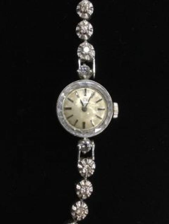 Image for Marvelous Anderson Collection of Sandy Level, VA