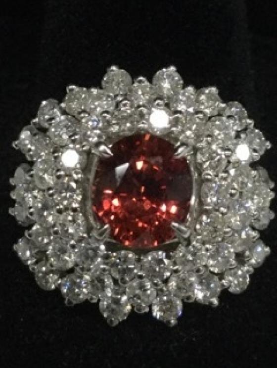 Image for Marvelous Anderson Collection of Sandy Level, VA