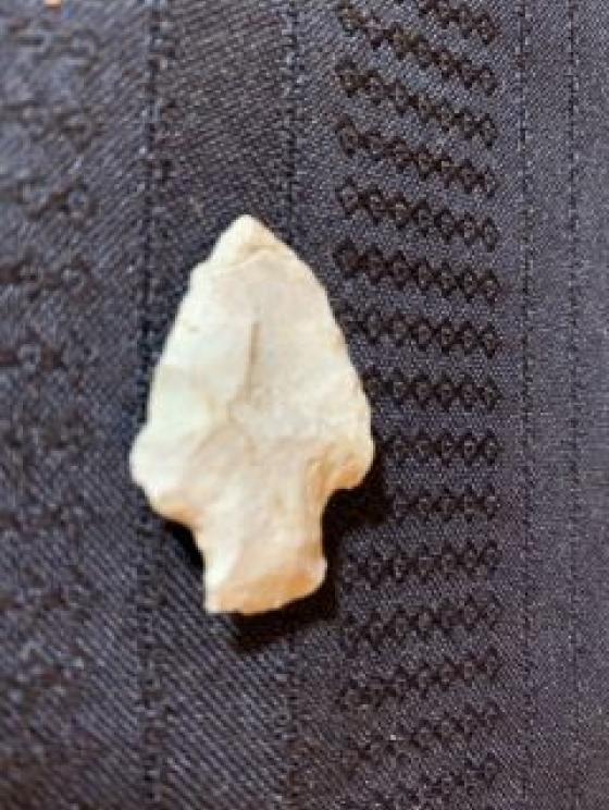 Image for URGENT SHORT NOTICE!!-Ashley Plantation Collection