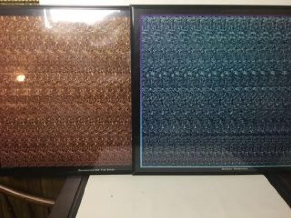 Image for Outstanding Clark Family Collection