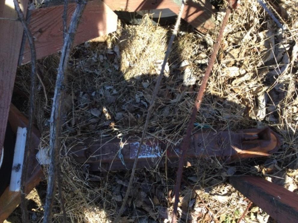 Image for Lifetime Collection of Charlie Vandergrift