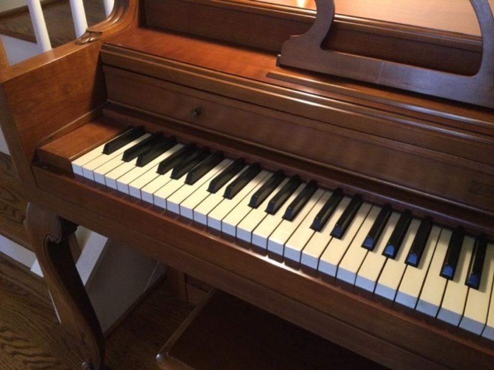 Image for The Mary Zelenik Collection