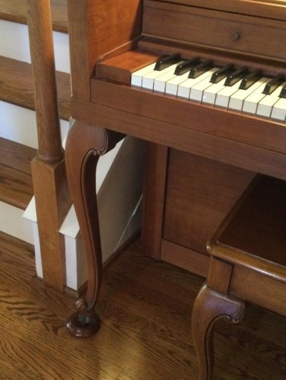 Image for The Mary Zelenik Collection