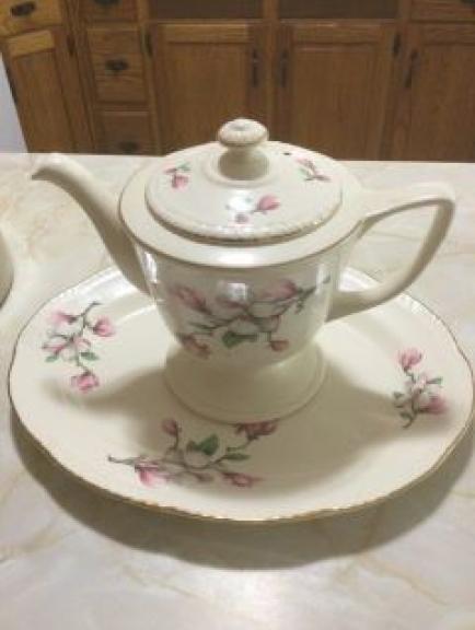 Image for Lifetime Lively Family Collection