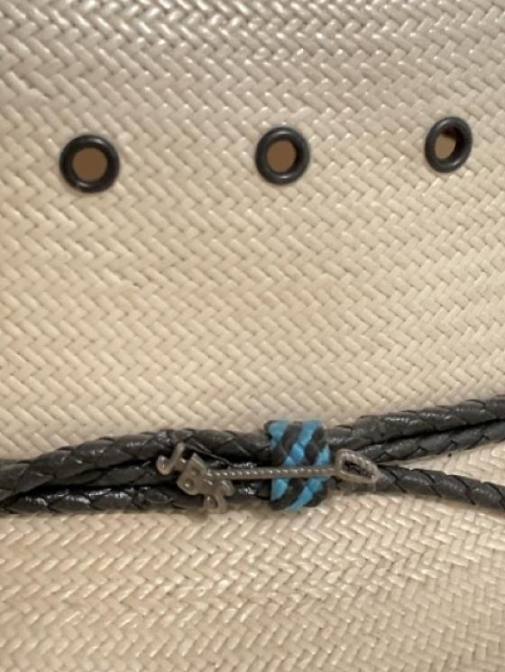 Image for Davies Family Downsizing