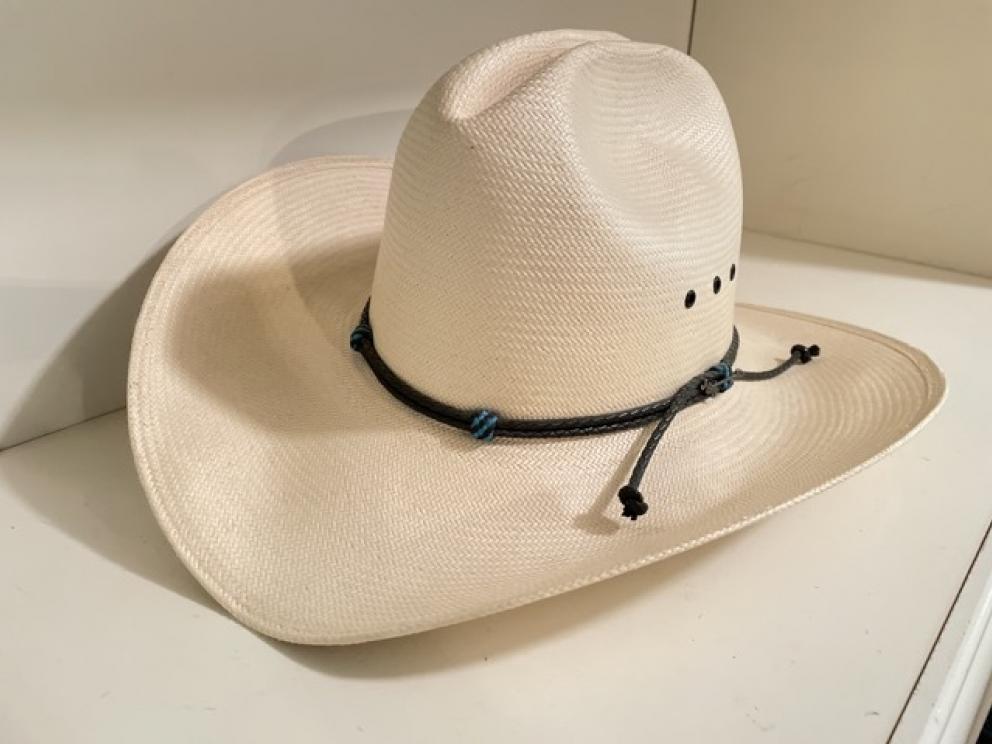 Image for Davies Family Downsizing