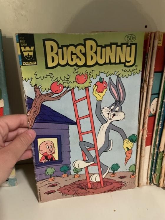 Image for Davies Family Downsizing