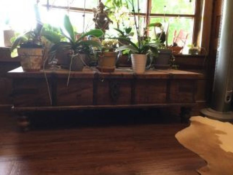 Image for Amazing Ramsey Collection