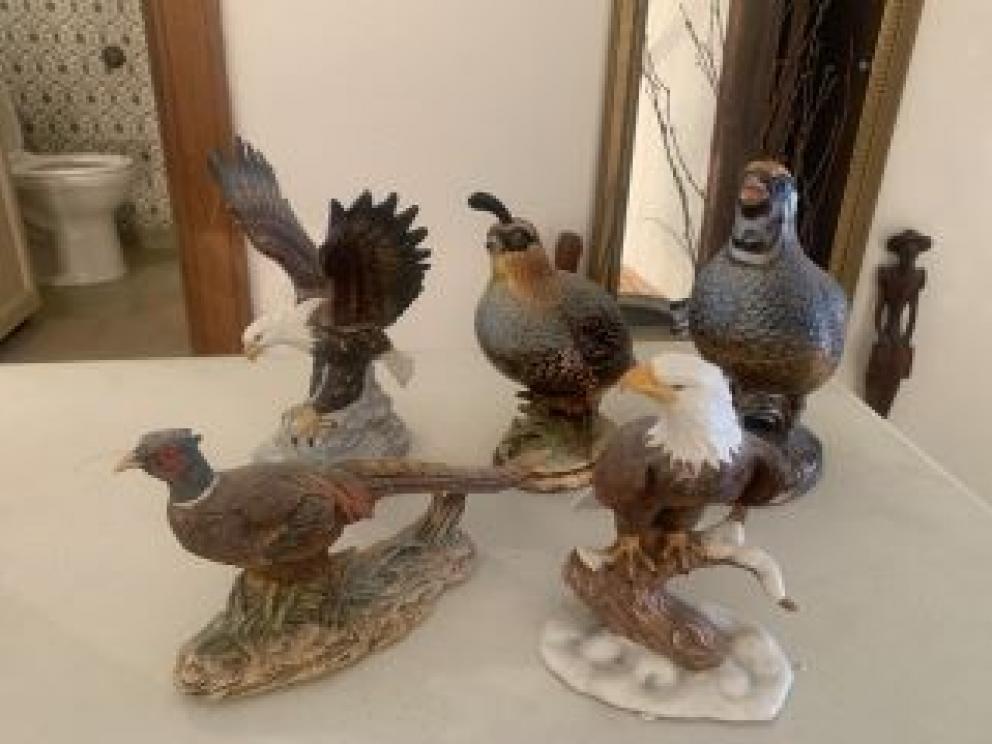 Image for Dual Raleigh County Collections