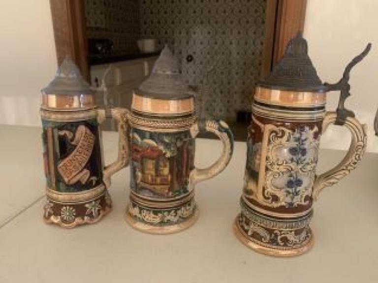 Image for Dual Raleigh County Collections