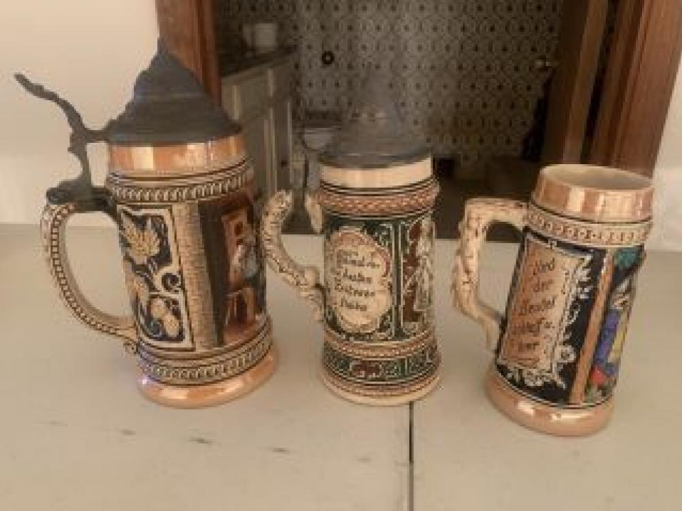 Image for Dual Raleigh County Collections