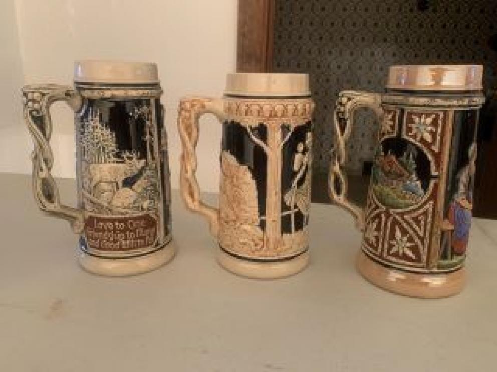 Image for Dual Raleigh County Collections