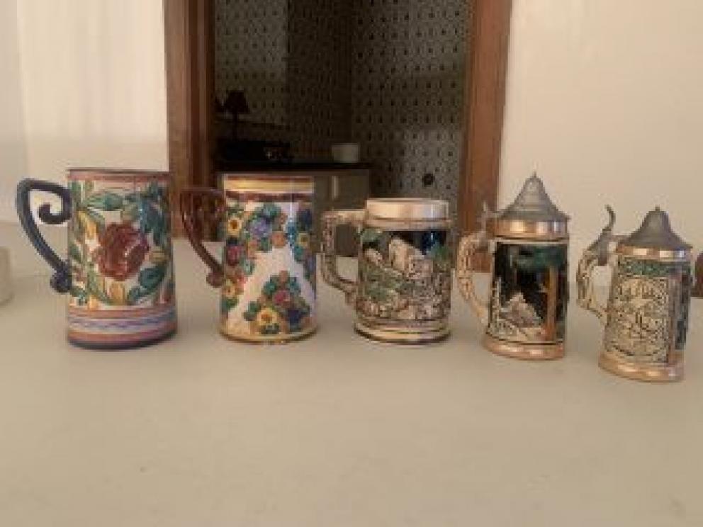 Image for Dual Raleigh County Collections