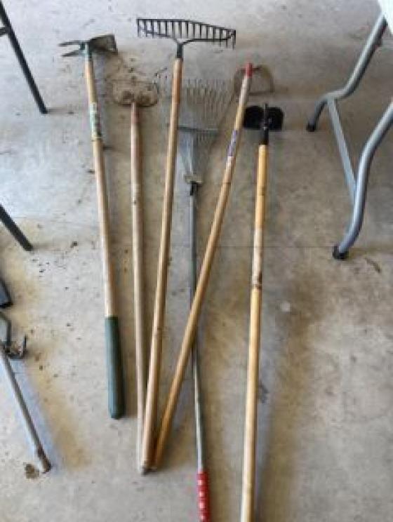 Image for Brown & Lohmeyer Collections of Greenbrier Co.