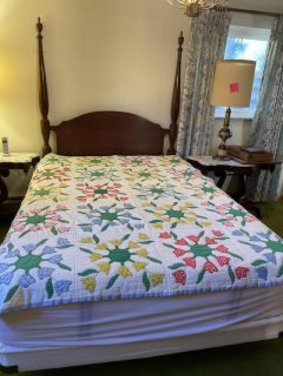 Image for The Amazing Don Daniel Estate