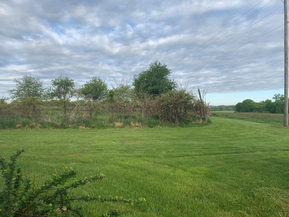 Image for Two Investment Homes and Beautiful Views