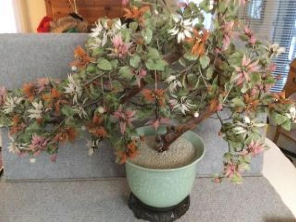 Image for Amazing Resort Home Collection