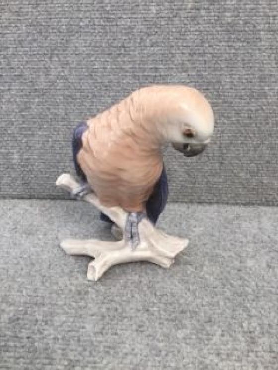 Image for Amazing Resort Home Collection