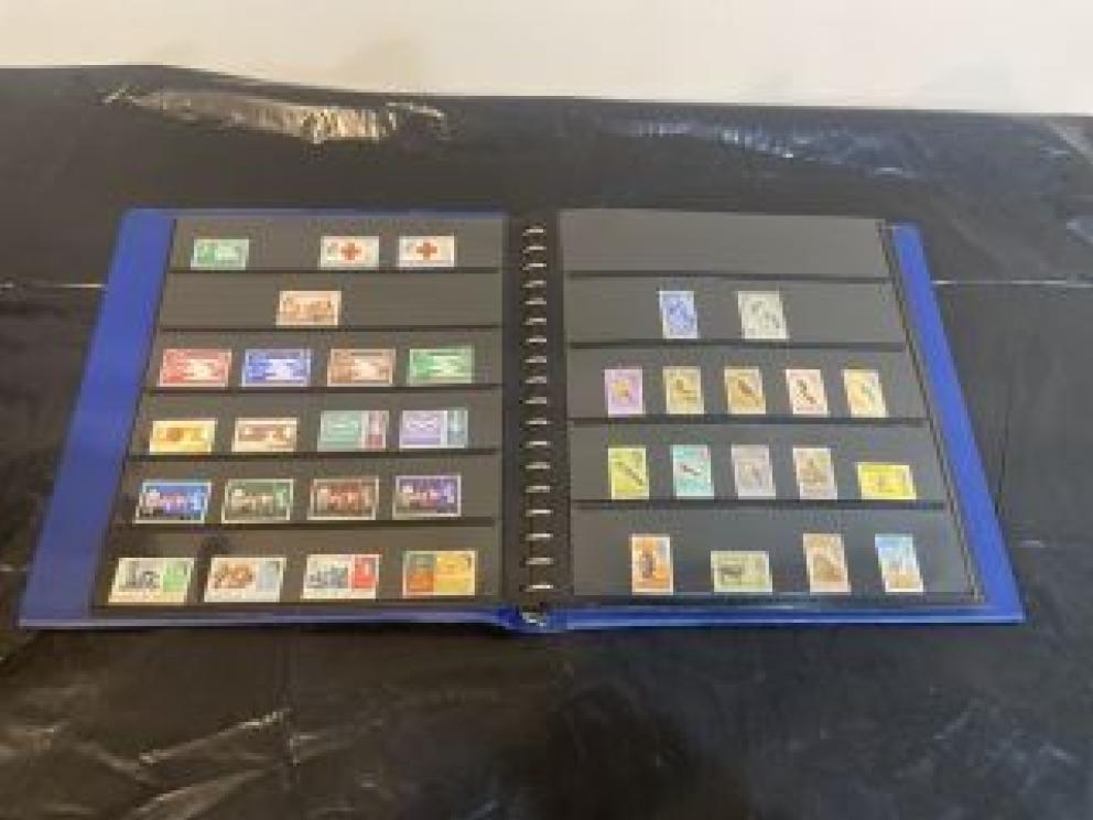 Image for Bare Family Downsizing - Part Two