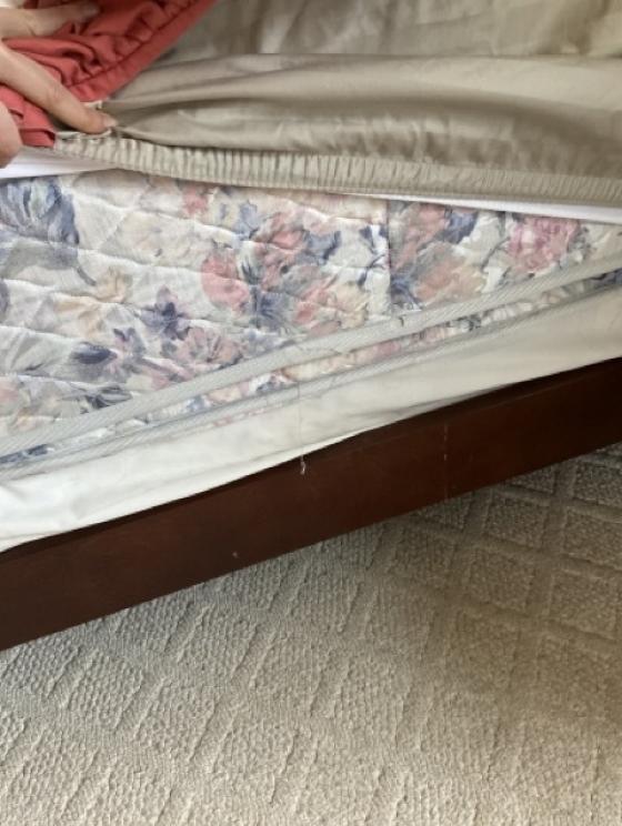 Image for Urgent Short Notice - Marie, WV Relocation