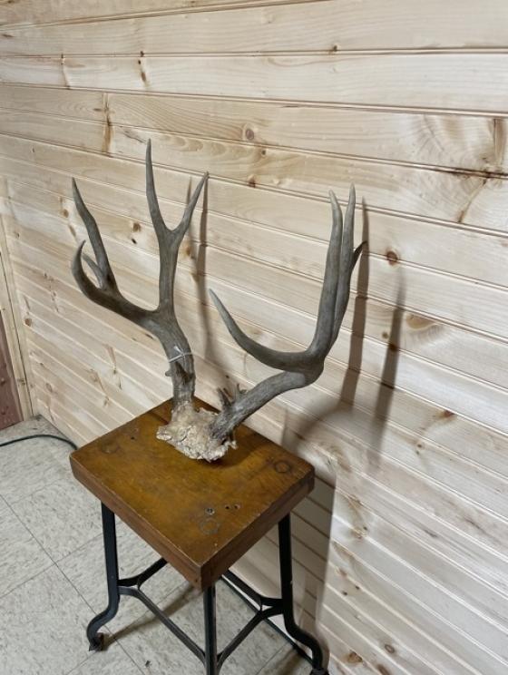 Image for All Sorts of Cool Stuff