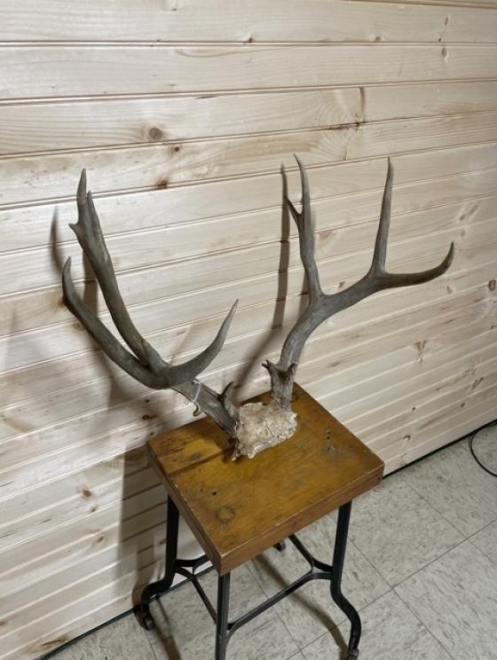 Image for All Sorts of Cool Stuff