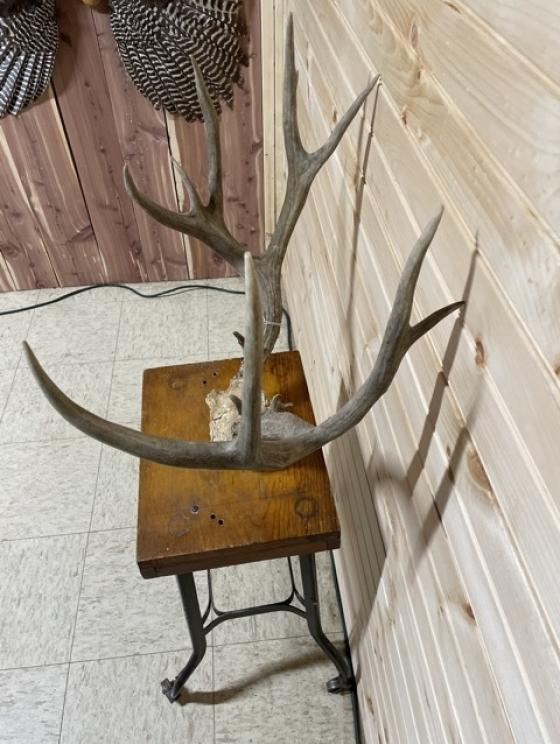 Image for All Sorts of Cool Stuff