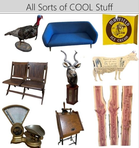 Image for All Sorts of Cool Stuff