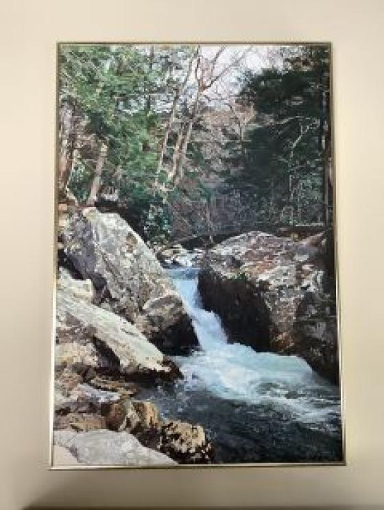 Image for URGENT SHORT NOTICE!!&nbsp; Shaffer Family Collection