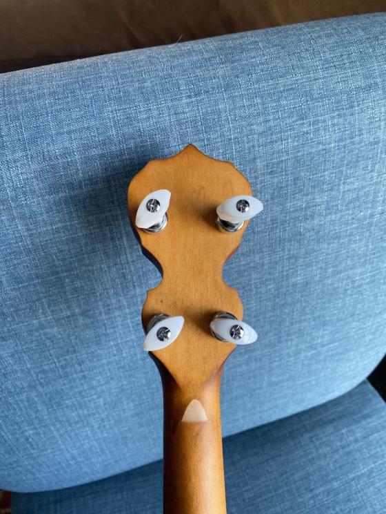 Image for Mumford & Sons Custom Virginia Charity Banjo