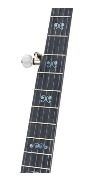 Image for Mumford & Sons Custom Virginia Charity Banjo