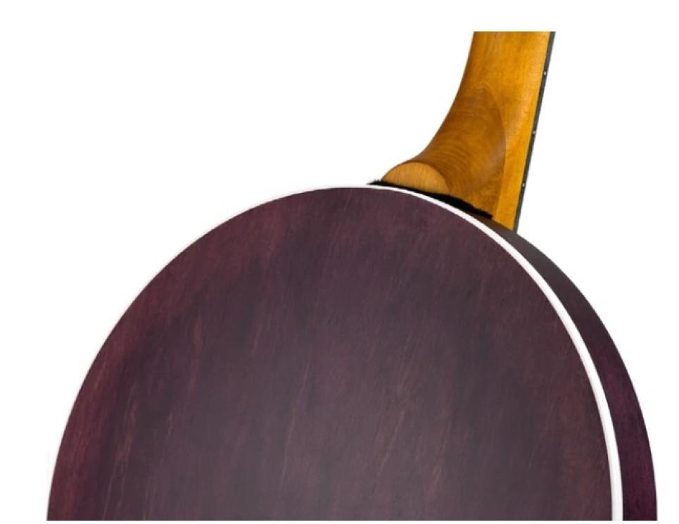 Image for Mumford & Sons Custom Virginia Charity Banjo