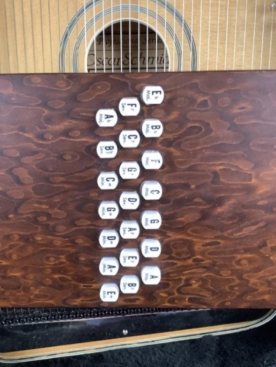 Image for Marvelous Stringed Instruments