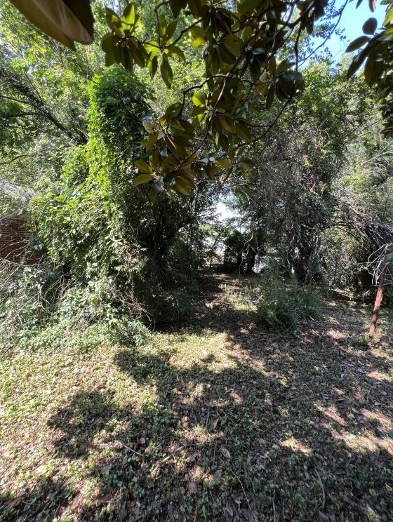 Image for TUDOR STYLE BRICK HOME - ROANOKE, VA