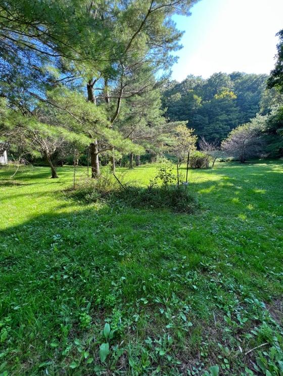 Image for Creek Side Monroe County, WV Real Estate