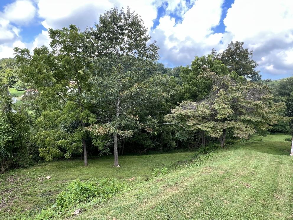 Image for Cape Cod Brick Home-Galax, VA