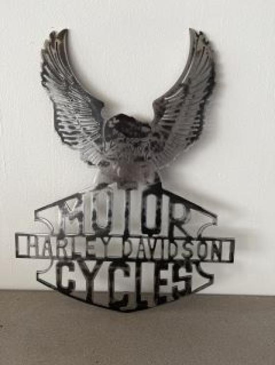 Image for Dual Summers County Collections