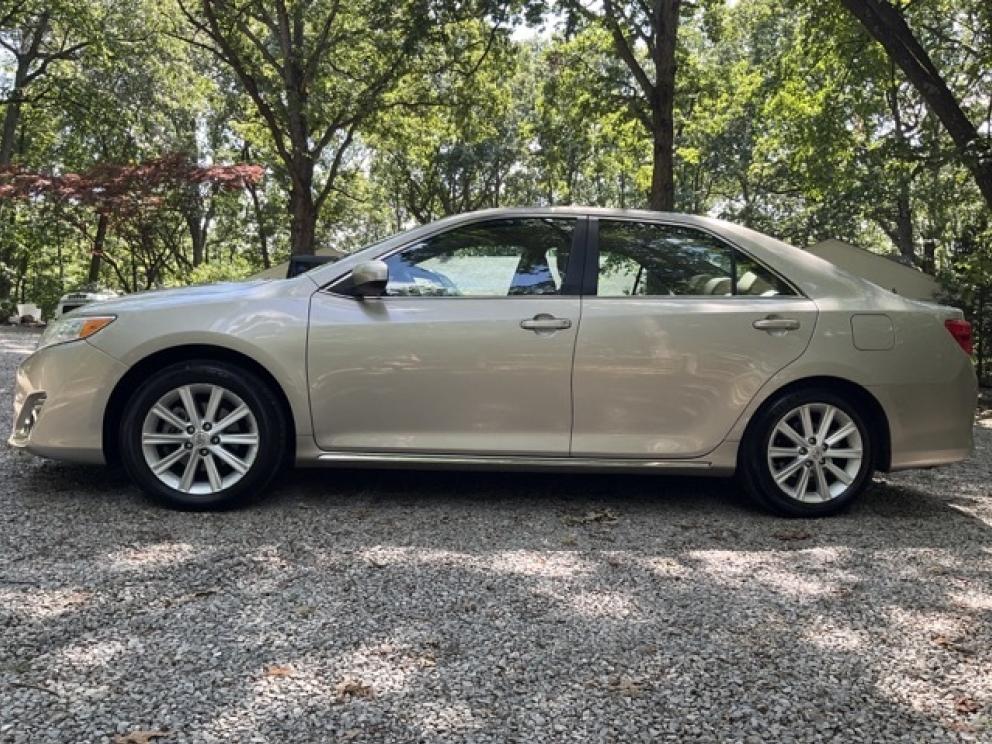 Image for Dual Roanoke Collections