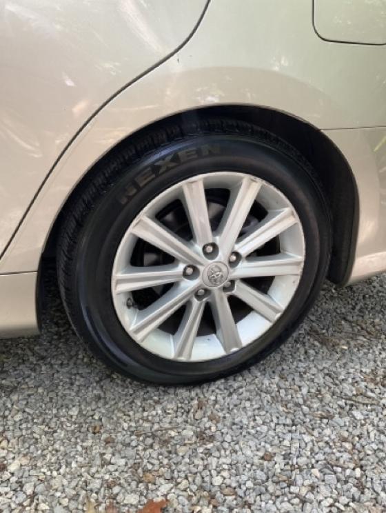 Image for Dual Roanoke Collections