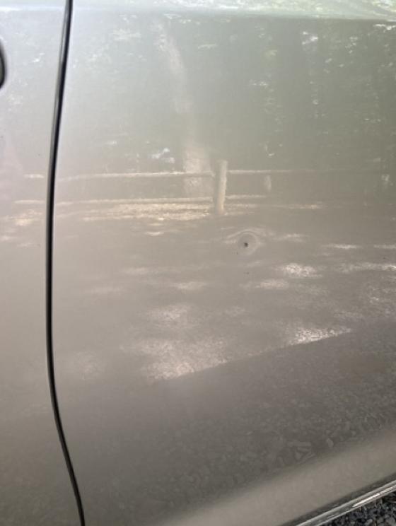 Image for Dual Roanoke Collections